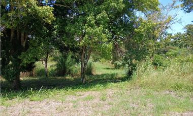 LA ERMITA DE SAN CARLOS / 66000M / FRENTE A VIA PANAMERICANA / RIO AG