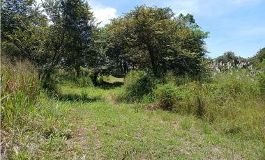 LA ERMITA DE SAN CARLOS / 66000M / FRENTE A VIA PANAMERICANA / RIO AG