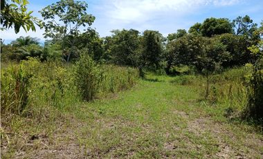 LA ERMITA DE SAN CARLOS / 66000M / FRENTE A VIA PANAMERICANA / RIO AG