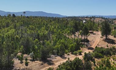 Rematamos Parcelas En Cauquenes  Ahora  a $8.990.000