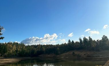 Rematamos Parcelas En Cauquenes  Ahora  a $8.990.000