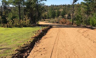 Rematamos Parcelas En Cauquenes  Ahora  a $8.990.000