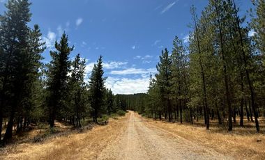 Rematamos Parcelas En Cauquenes  Ahora  a $8.990.000