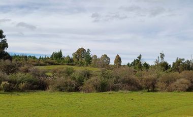 Rematamos Parcelas En Cauquenes  Ahora  a $8.990.000