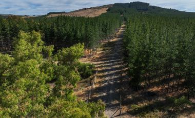 Rematamos Parcelas En Cauquenes  Ahora  a $8.990.000