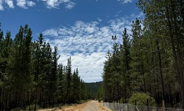 Rematamos Parcelas En Cauquenes  Ahora  a $8.990.000