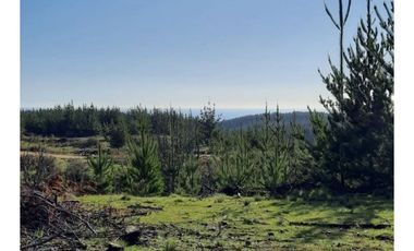 Arayabroker Vende Preciosa Parcela En Alto Colorado Pichilem