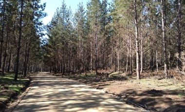 Arayabroker Vende Preciosa Parcela En Alto Colorado Pichilem