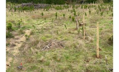 Arayabroker Vende Preciosa Parcela En Alto Colorado Pichilem