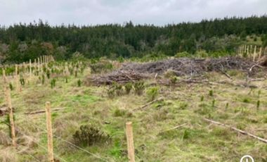 Arayabroker Vende Preciosa Parcela En Alto Colorado Pichilem