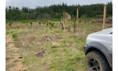 Arayabroker Vende Preciosa Parcela En Alto Colorado Pichilem