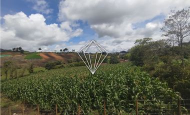 Arriendo apartamento campestre en El Carmen de Viboral