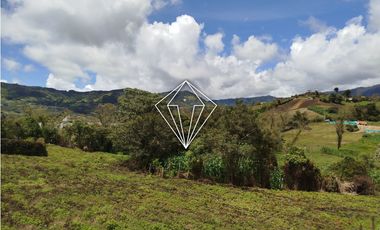 Arriendo apartamento campestre en El Carmen de Viboral