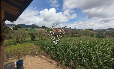 Arriendo apartamento campestre en El Carmen de Viboral