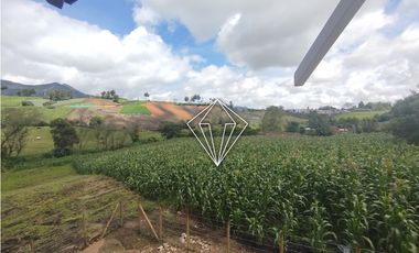 Arriendo apartamento campestre en El Carmen de Viboral