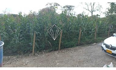 Arriendo apartamento campestre en El Carmen de Viboral