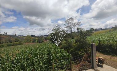 Arriendo apartamento campestre en El Carmen de Viboral