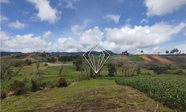 Arriendo apartamento campestre en El Carmen de Viboral