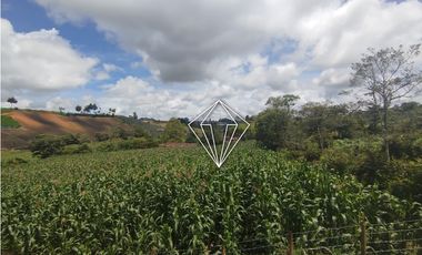 Arriendo apartamento campestre en El Carmen de Viboral