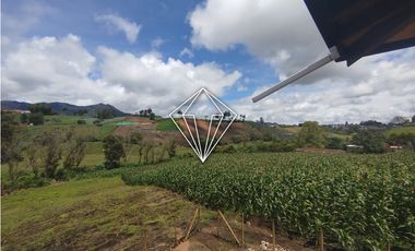 Arriendo apartamento campestre en El Carmen de Viboral