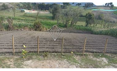 Arriendo apartamento campestre en El Carmen de Viboral