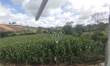 Arriendo apartamento campestre en El Carmen de Viboral