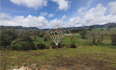 Arriendo apartamento campestre en El Carmen de Viboral