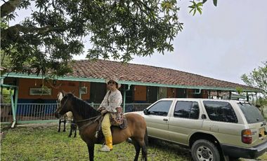 Vendo finca Ganadera en Fredonia.
