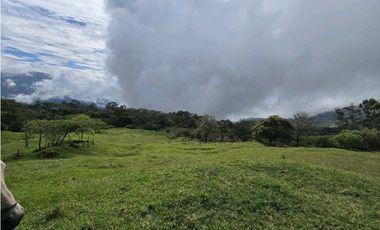 Vendo finca Ganadera en Fredonia.