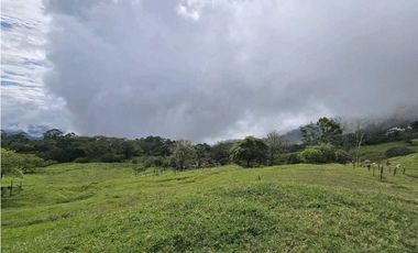 Vendo finca Ganadera en Fredonia.
