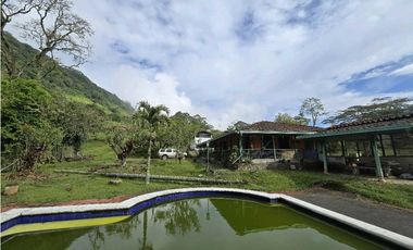 Vendo finca Ganadera en Fredonia.