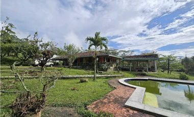 Vendo finca Ganadera en Fredonia.