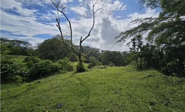 Vendo finca Ganadera en Fredonia.
