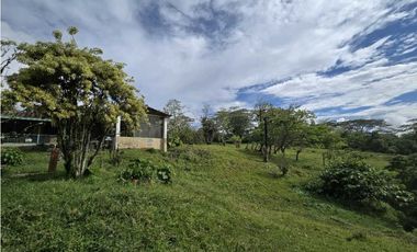 Vendo finca Ganadera en Fredonia.