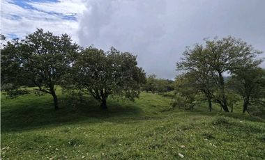 Vendo finca Ganadera en Fredonia.