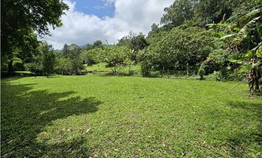 Vendo finca en Fredonia.