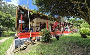 Vendo finca en Fredonia.