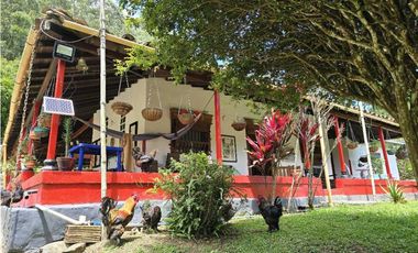 Vendo finca en Fredonia.