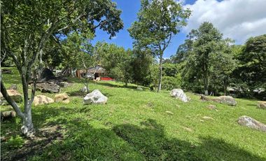 Vendo finca en Fredonia.