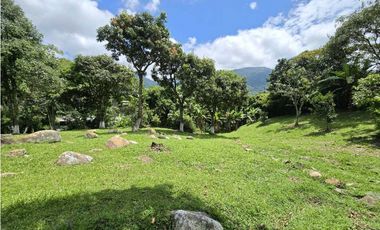 Vendo finca en Fredonia.