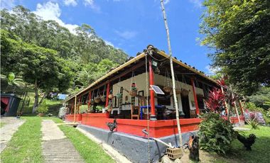 Vendo finca en Fredonia.