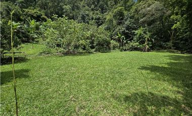 Vendo finca en Fredonia.