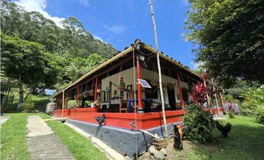 Vendo finca en Fredonia.