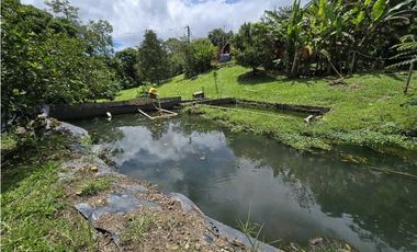 Vendo finca en Fredonia.