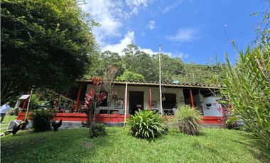 Vendo finca en Fredonia.