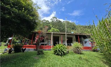 Vendo finca en Fredonia.