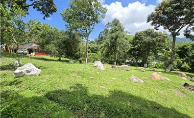 Vendo finca en Fredonia.