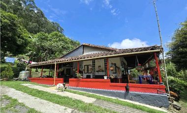 Vendo finca en Fredonia.