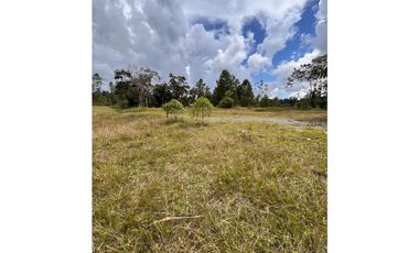 VENTA DE ESPECTACULAR LOTE PLANO EN EL RETIRO SECTOR PANTANILLO