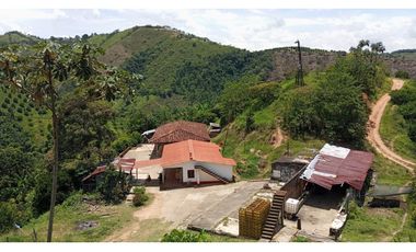 VENDO FINCA AGRICOLA 30 HAS (43 CUADRAS) POR BALBOA RISARALDA